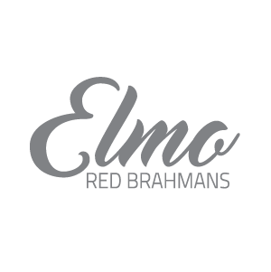 Elmo Brahmans