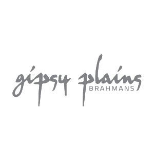 Gipsy Plains Brahman