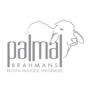 Palmal Brahmans