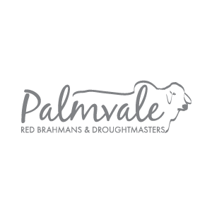 Palmvale Red Brahmans and Droughtmaster